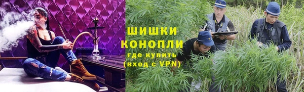 твердый Белокуриха